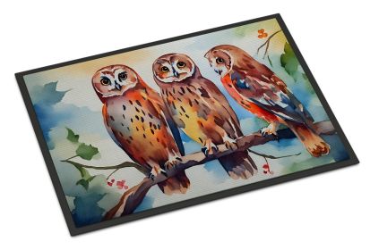 Owls Doormat Front Door Mat Indoor Outdoor Rugs for Entryway, Non Slip Washable Low Pile, 24H X 36W