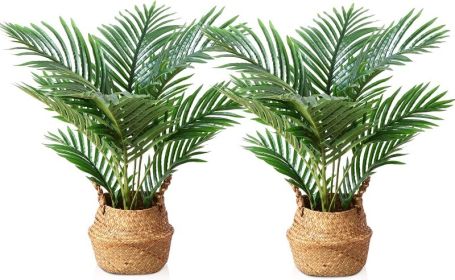 Artificial Plants for Home Decor Indoor Faux Palm Trees in Pot Fake Tropical Plants for Housewarming Gift 2Pack (Color: 2 Ft-2)