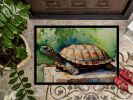 Turtles Tortoises Doormat Front Door Mat Indoor Outdoor Rugs for Entryway, Non Slip Washable Low Pile, 24H X 36W